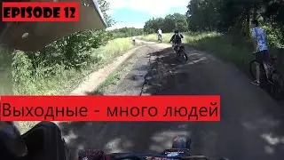 Деревья, люди, 2 дурака))