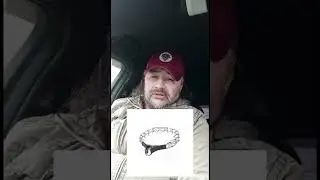 КАКИЕ БЫВАЮТ ОШЕЙНИКИ для СОБАК/ Кинолог советует ошейники / Собачий колдун