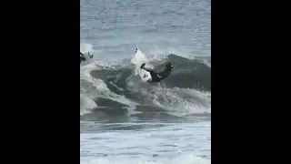 No risk no reward