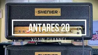 Shenier - Antares 20 Xgain Mini Head