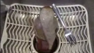 Mt. Dr. Pepper