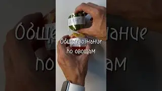 ОБЩЕСТВОЗНАНИЕ ПО ОВОЩАМ - ТГК: ЕГОР КАНТ - ОГЭ #огэ #обществознание #обществознаниеогэ