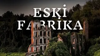Sivaslı Gençlerin Trabzon'un Ormanlarında Kamp Yaparken Yaşadığı Korkunç Olaylar | Korku Hikayeleri