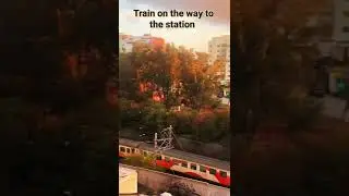 Train on the way to the station