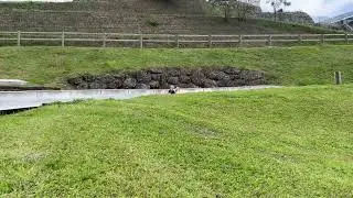 Sattle rodelbahn drive by.