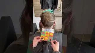 Fromm Pro Limited Edition Tropical Paradise Color Kit ☀️ @Taylordidmyhair #shorts #hairstylist #hair