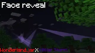 [FACE REVEAL] Minecraft but i played wonderland.jar with the wither storm.