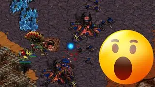 Reaver Rush in PvZ!?!?