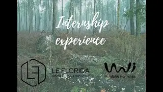Le Florida Internship Experience