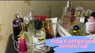 MY (modest) COLLECTION OF FRAGRANCES