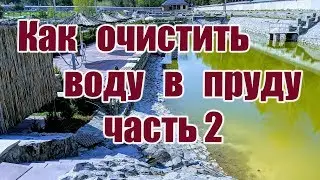 Как очистить воду в пруду (часть 2)