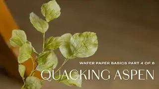 Wafer Paper Flowers Basics for Beginners: Quaking Aspen (Part 4/6)