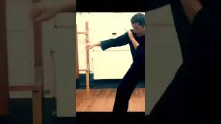 ACADÉMIE de WING CHUN  Toulouse : Combiner les techniques de blocages