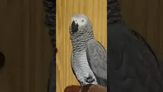 Я Тюнечка, беседер