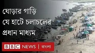 এক নজরে যাত্রাপুর হাট- চরবাসীদের এই হাটটির যা যা আলাদা | BBC Bangla