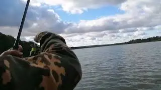 карп 7 кг 30 гр.