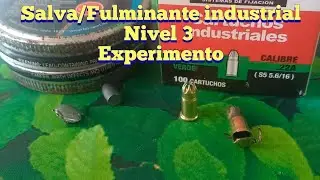 Experimento con cartucho industrial nivel 3 en rifle .22 LR
