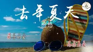 去年夏天 懋懋 拼音字体 ktv 卡拉ok字幕
