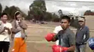 Quynh Vs. Sang