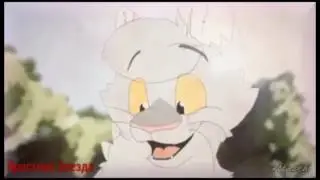 Коты - Воители - Мелодия души
