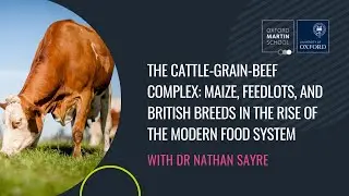 Cattle-Grain-Beef Complex: Maize, feedlots, & British breeds in the rise of the modern food system
