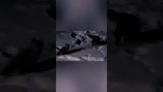 Лилуша♡