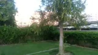 Total Green
