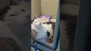 Утренние процедуры