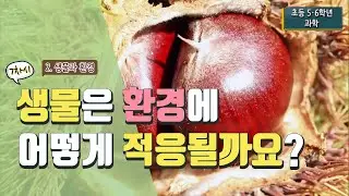 [초등 과학 5-2] 2. 생물과 환경 - 7차시 생물은 환경에 어떻게 적응될까요?