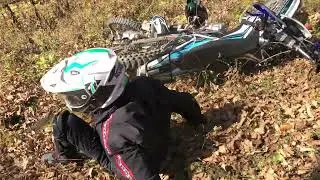 Контент подъехал !!!!