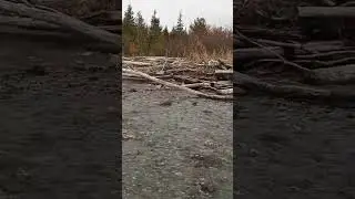 Ручей течет в море