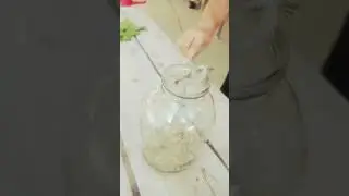 Эки баштуу жылан 😱