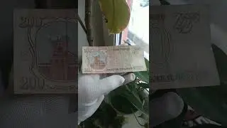 Купюра 200 рублей 1993 года 