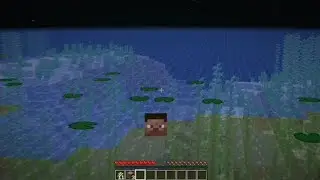 stevehead.mp4