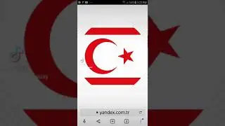 Çılgın Türkler