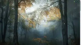 Lightbox (Popup)
