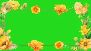 Frame Green Screen Animation | Free to Use |