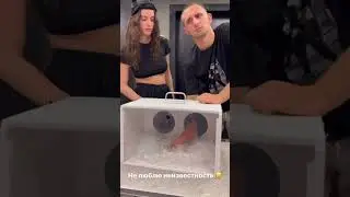 Литвин и Адель щупают вещи 