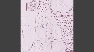 Déjà Vu