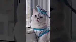 Маинкрафт VS Реальная жизнь