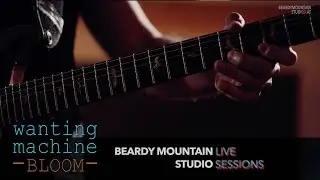 PETER ROM - WANTING MACHINE // Bloom //  BEARDY MOUNTAIN STUDIO SESSION // [4K]
