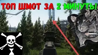 Из крысы в топ за 2 минуты//Крысиные лайфхаки