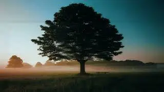 Not free type beat - Pharaoh Instrumental Type Beats - prod. by SUNRISE BEATS - a Tear of Hope