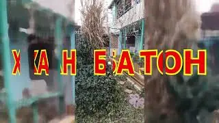 Один из дней города Евпатории / 12 января 2022 