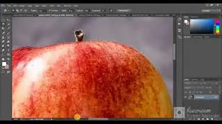 use of lasso tool,magnetic lasso tool, polygonal lasso tool in Photoshop cc | Adobe Photoshop cc
