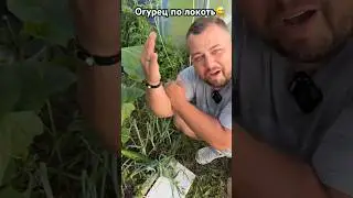 Огурец по локоть #огурец #членогур #огурчел #полокотьогурец #огурецсмарсаилонамаска