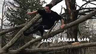 SBG - Sideways Tree is Life