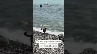 #морской
