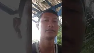 goyang hot ank2 papua