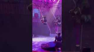 Земля мамонтов